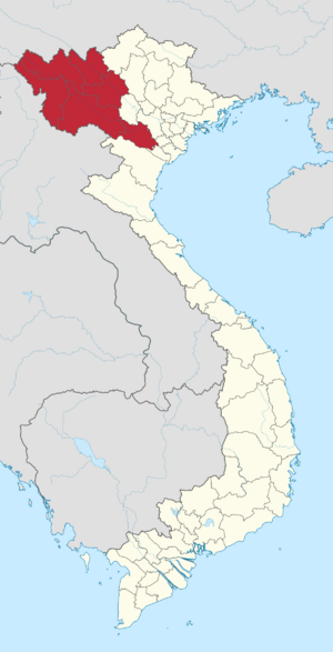 Northwestern in Vietnam