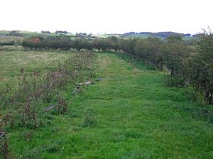 Old lane to Old Hill of Beith