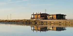 Palo Alto Baylands January 2013 004 edit