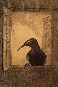 Redon the-raven