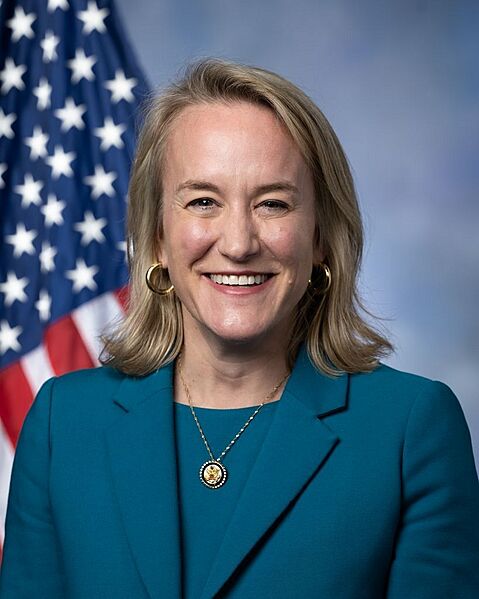 Rep Nikki Budzinski, 119th Congress