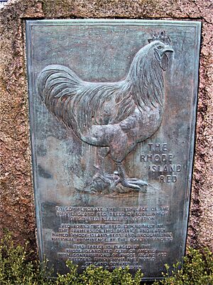 Rhode Island Red monument in Little Compton Rhode Island