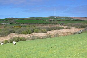 Rhos-Rydd - geograph.org.uk - 3931093
