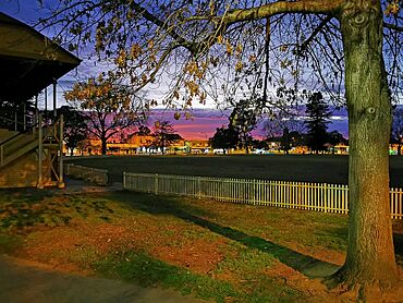 Richmond Oval Sydney Australia.jpg