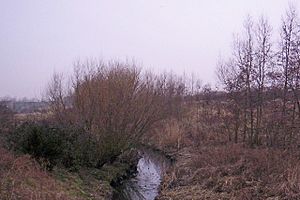 River Alt, Croxteth - geograph.org.uk - 117904.jpg