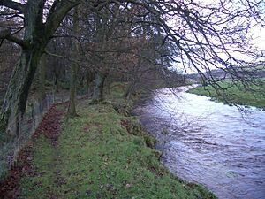 River Devon at Crook of Devon