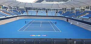 Show Court 3 v2