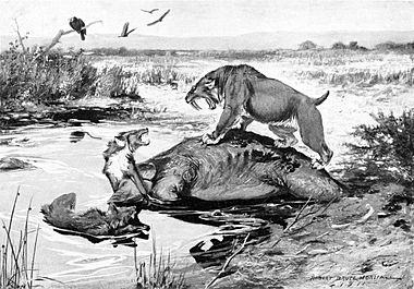 Smilodon and Canis dirus