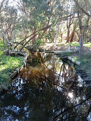 Source of Bull Creek, Western Australia