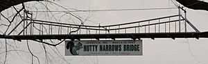 Squirrel Bridge - Closeup