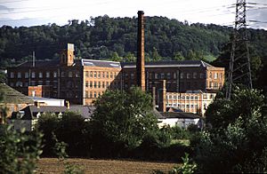 Stanley Mills - geograph.org.uk - 299710.jpg