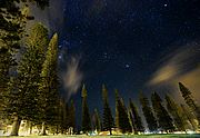 Stars from Dole Park, Lanai, Hawaii