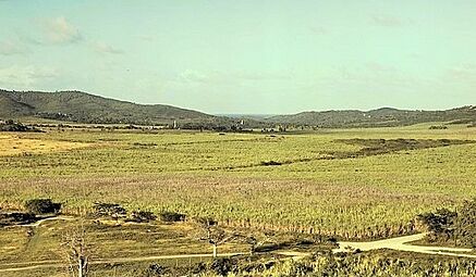 Sugar cane land, Yabucoa Valley 1a34061v