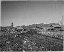 Taos County, New Mexico. View of Llano San Juan. Like most Taos County roads, when wet transportat . . . - NARA - 521858