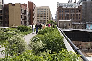 The High Line, New York (17643199203)
