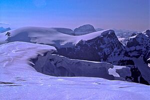 The Stutfields (West & East); Mt. Alberta at back