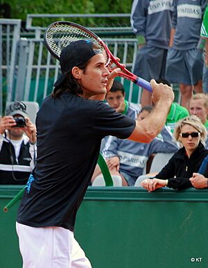 Tommy Haas 2011