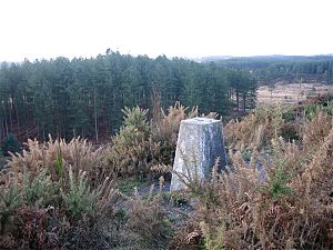Trig Point on Woolsbarrow Hill Fort - geograph.org.uk - 160919.jpg