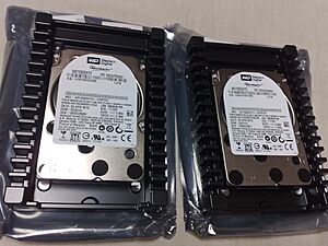 Two Western Digital VelociRaptor 1 TB SATA 10,000 rpm 3.5-inch HDDs