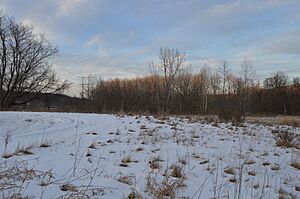 Vaughn Site in Brecksville