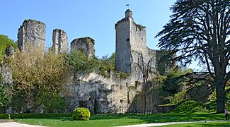 Vendome-ruines-du-chateau-dpt-Loir-et-Cher-DSC 0644