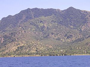 View to steep forested mountain area on Mt Manucoco, above Vila village, Atauro, 4 Apr 2004