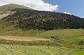 Vista dunha granxa baixando desde Coll de Ordino a Canillo. Andorra 310