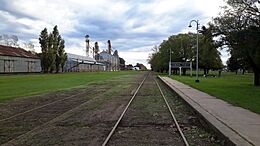 Vista hacia el oeste desde la estación General Pinto.jpg
