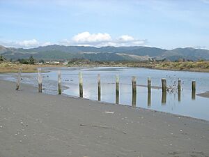 WaikanaeRiverEnteringTasman