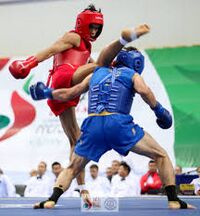 Wushu sanda one of the sports.jpg