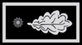03 01 Subcomisario
