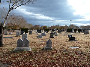 2010-1218-WoodlawnCemetery