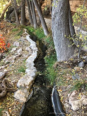 2021 Montezuma Well, irrigation ditch 1