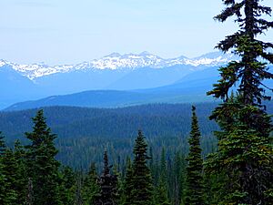 A Goat Rocks View from Takh Takh Lava Flow