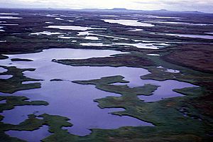 Aerial-view-of-hazen-bay-wetlands