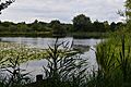 Amwell Quarry 13