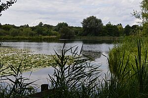 Amwell Quarry 13