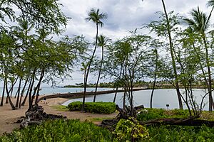 Anaehoomalu Bay Waikola Big island, Hawaii (46276973901)