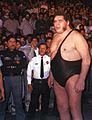 André the Giant in the late '80s