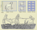 Anthropic Farm Units