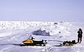 Arctic World
