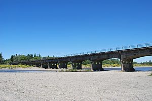 Ashley River Bridge