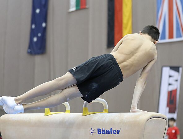 Austrian Future Cup 2018-11-23 Training Afternoon Pommel horse (Martin Rulsch) 320