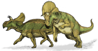 Avaceratops dinosaur.png