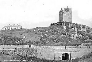 Ballinalicken Castle, Co. Clare (8865646091)