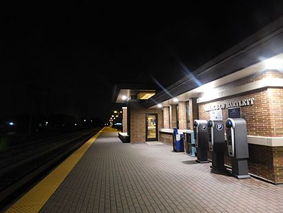 Bartlett Station.jpg