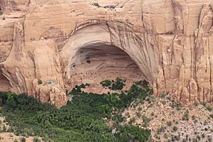 Betatakin Ruin Navajo National Monument