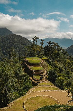 CIUDAD PERDIDA 2