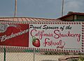 California Strawberry Festival 2012 - panoramio