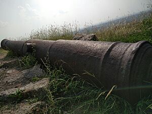 Cannon at the fort